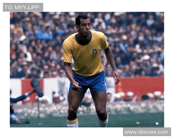 全球历史十大足球球星排行榜 解析各国传奇人物的辉煌成就与影响